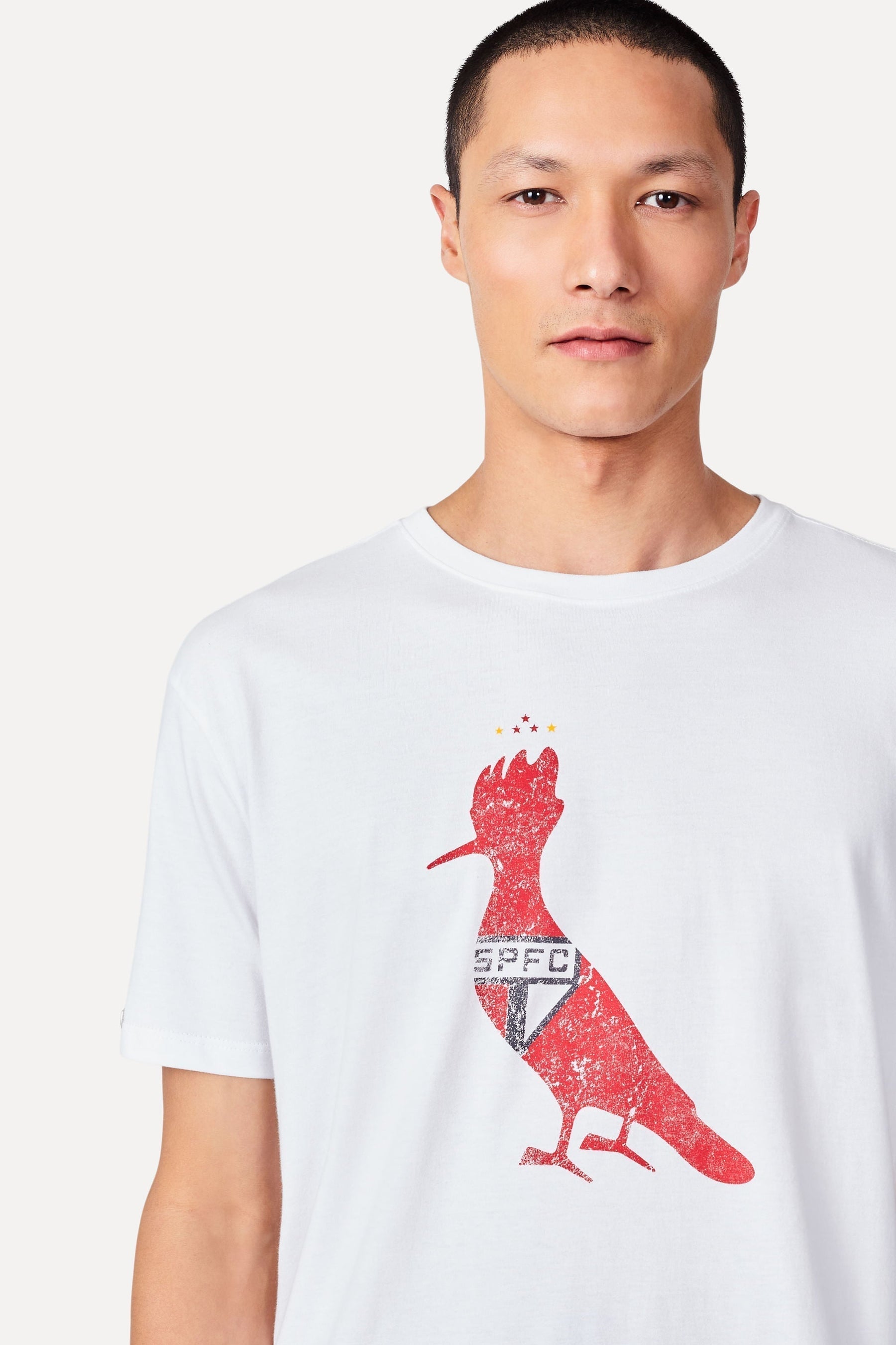 Camiseta estampada Silk pp Spfc