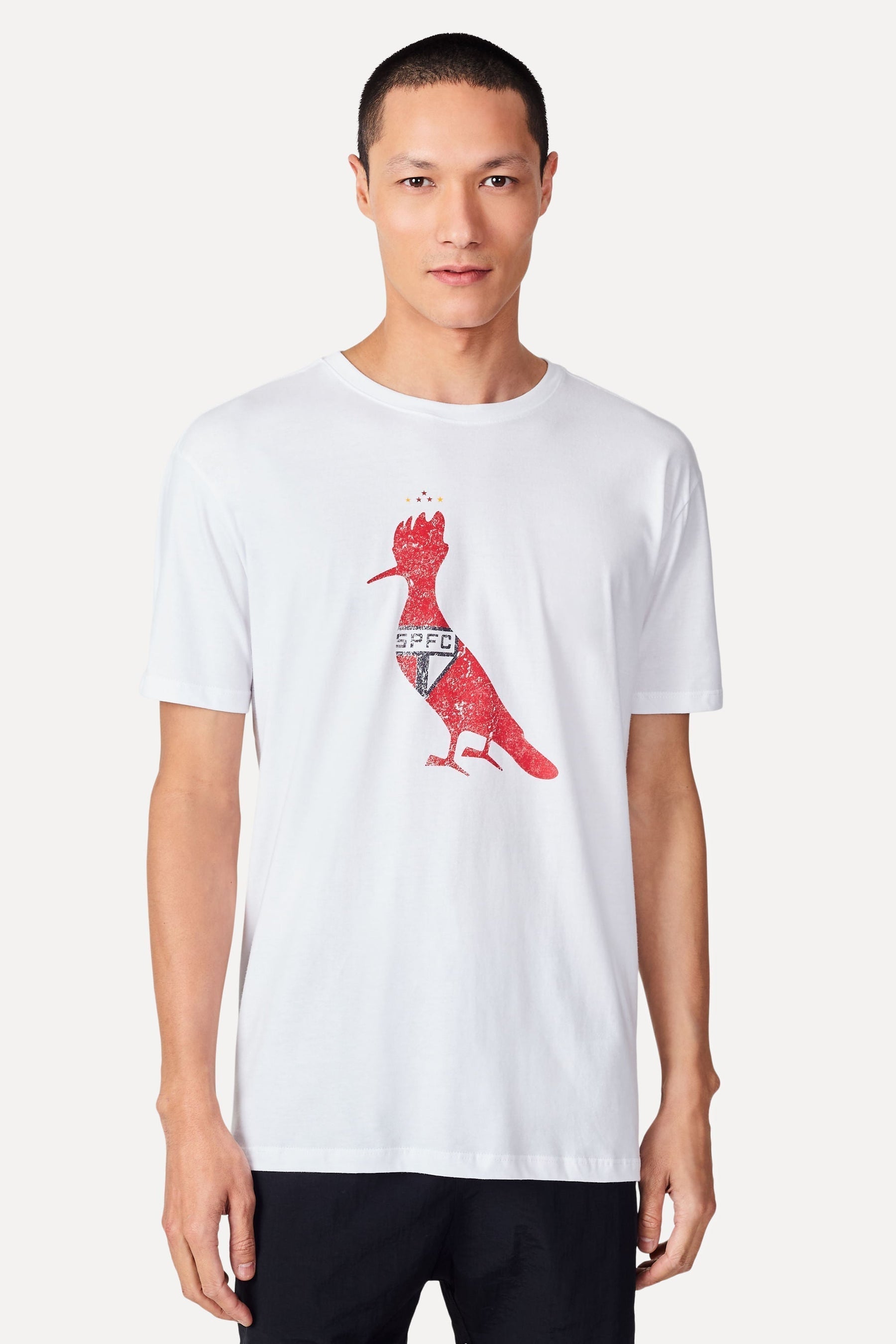 Camiseta estampada Silk pp Spfc