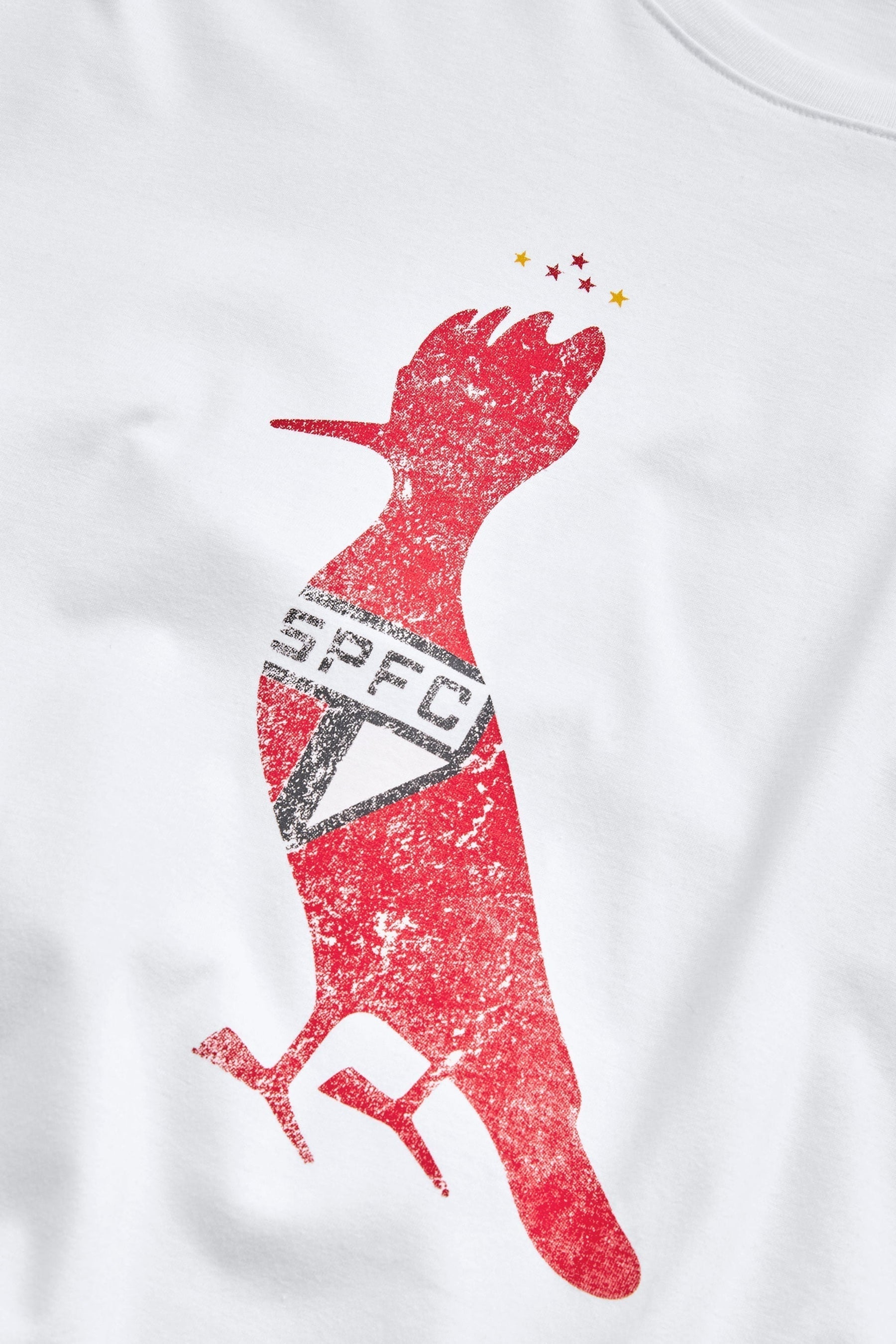 Camiseta estampada Silk pp Spfc