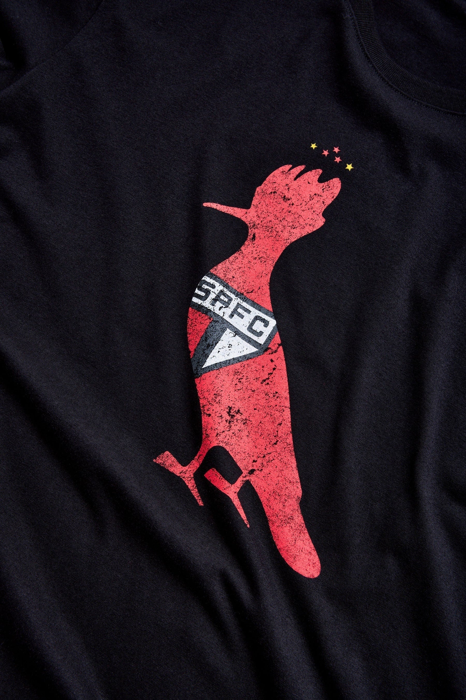 Camiseta estampada Silk pp Spfc