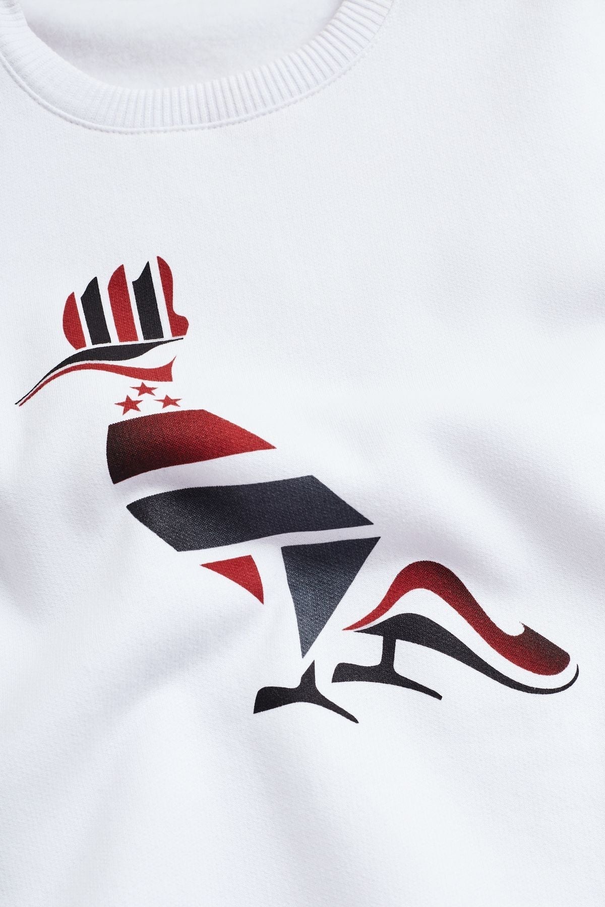 Sueter moletom mini pp São Paulo